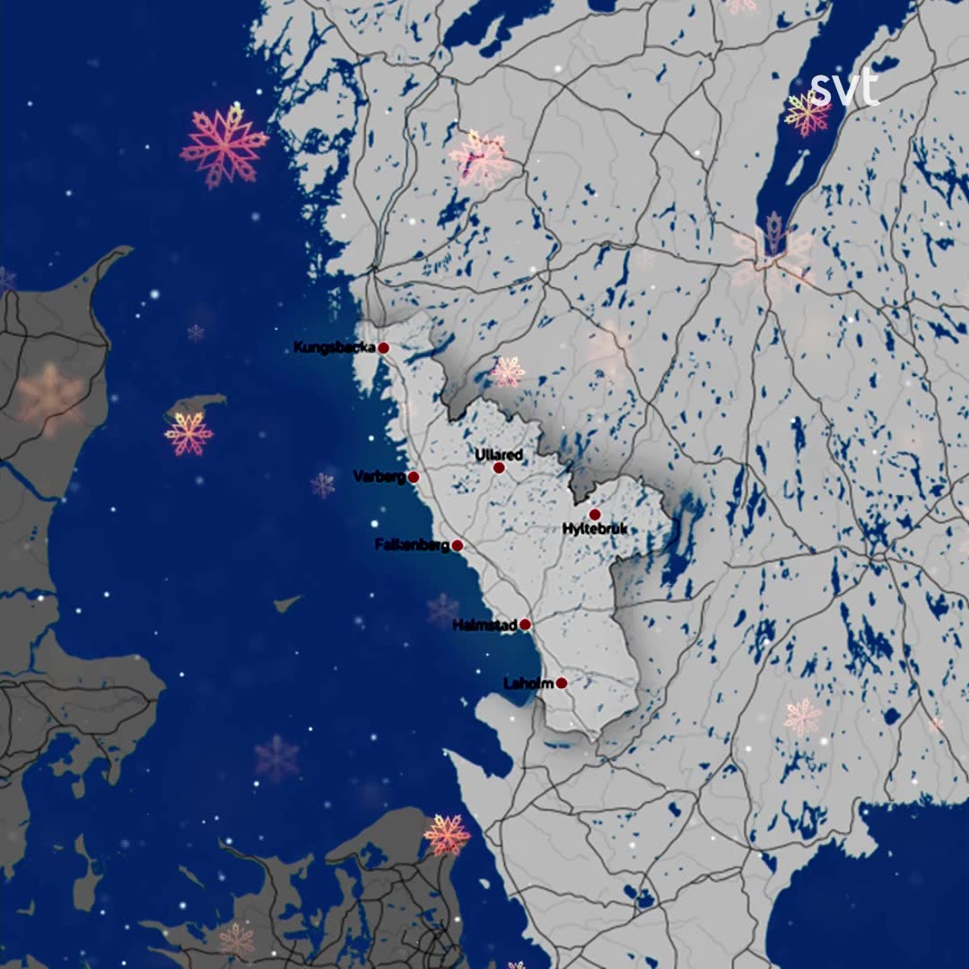 Dusch svalkar
kor i värmen